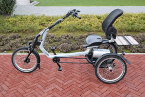 Easy Rider Trike