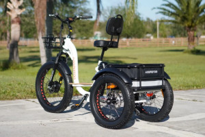 Addmotor Electric Trike